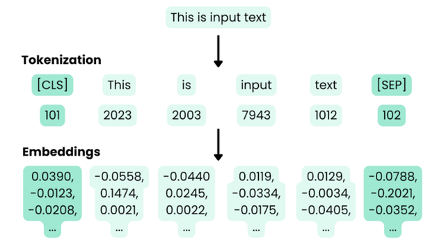 Pipeline de tokenización y embeddings: el texto de entrada se parte en tokens, cada token obtiene un ID de vocabulario, y cada ID se convierte en un vector de números